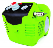   Greenworks 24V (2 )     (G24AC)