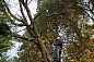  /   GreenWorks G40PSF,     (1401107)