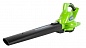  -    Greenworks GD40BV, 40V, ,     (2406907)