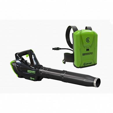        Greenworks 82V