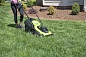   Greenworks G24X2LM41      (2512607)