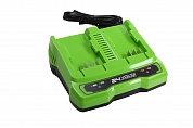    2-  Greenworks G24X2UC2, 24V (2931907)